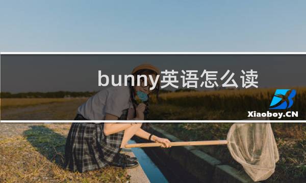 bunny英语怎么读
