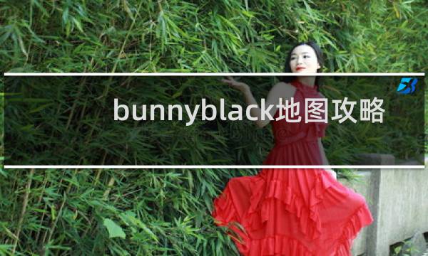 bunnyblack地图攻略