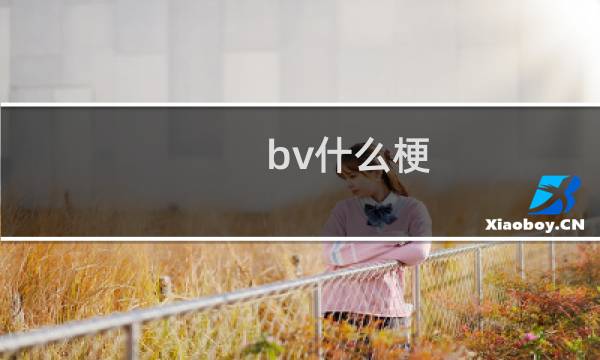 bv什么梗