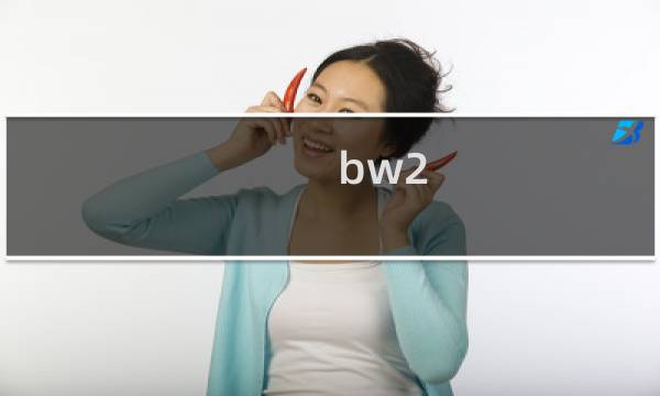 bw2 攻略