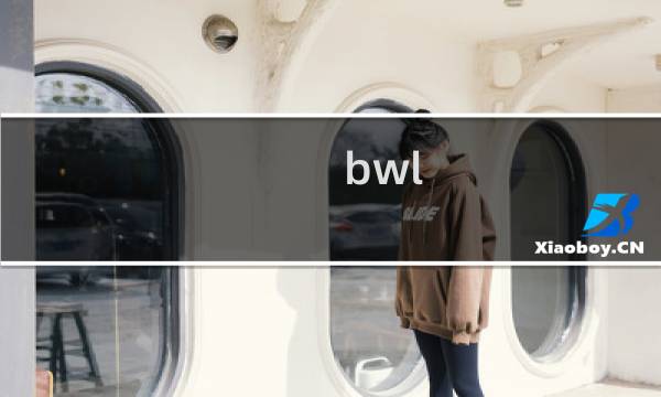 bwl 萨满攻略