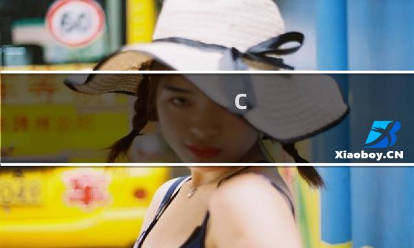 c   标准库 源码