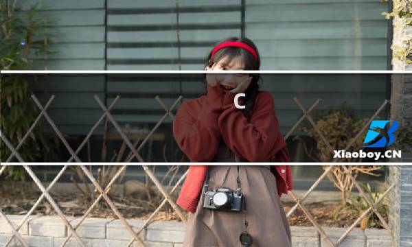 c 控制 chrome