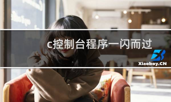 c控制台程序一闪而过