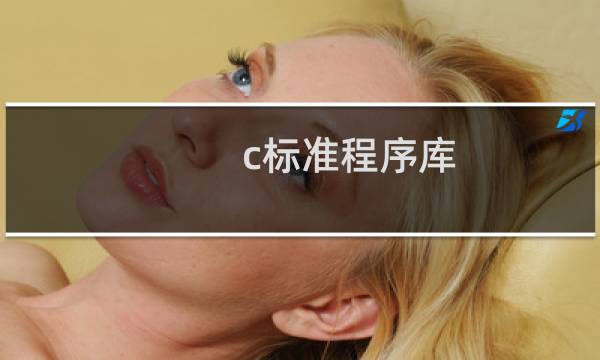 c标准程序库