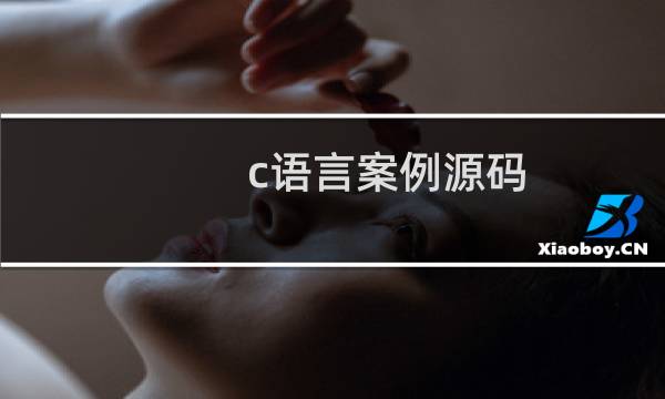 c语言案例源码