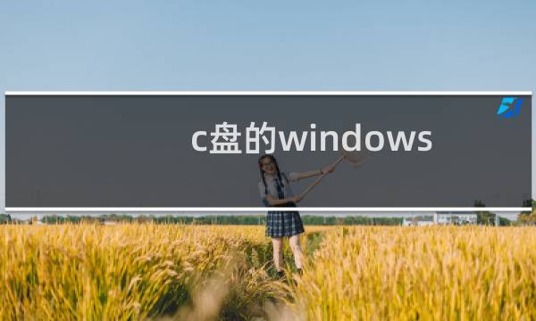 c盘的windows.old文件夹能删吗（c盘windows.old文件夹可以删除吗）图片