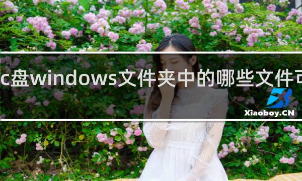 c盘windows文件夹中的哪些文件可以删