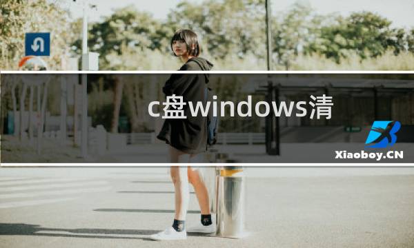 c盘windows清理（vista c盘清理）