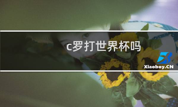 c罗打世界杯吗