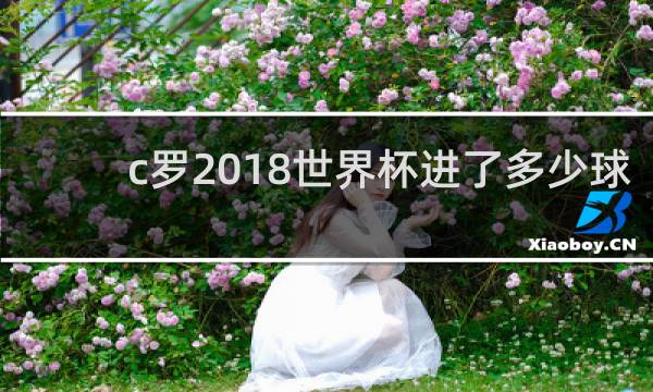 c罗2018世界杯进了多少球