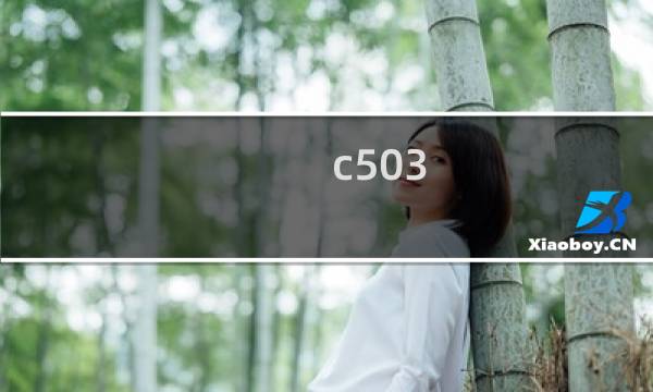 c503