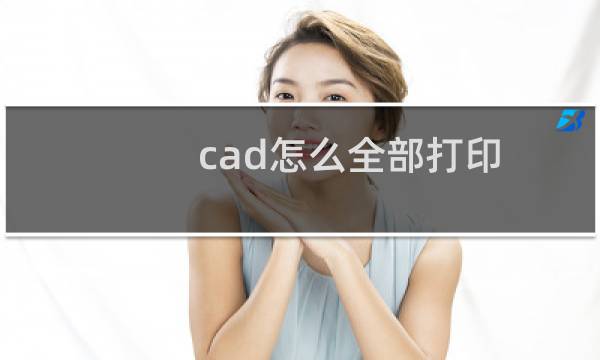 cad怎么全部打印图片