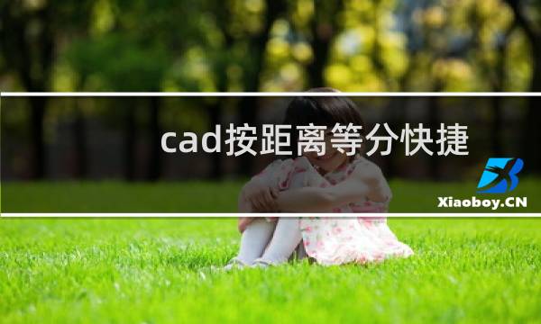 cad按距离等分快捷键(cad里面定距等分的快捷键)