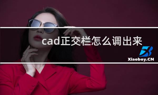 cad正交栏怎么调出来