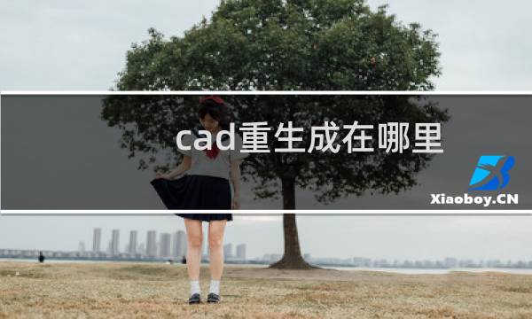 cad重生成在哪里（cad重生成）