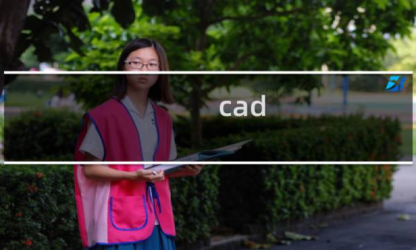cad 房屋设计图片