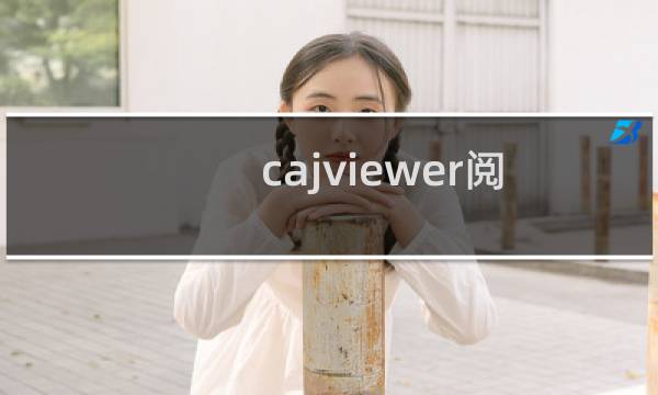 cajviewer阅读器为了阅读的方便怎样全屏显示