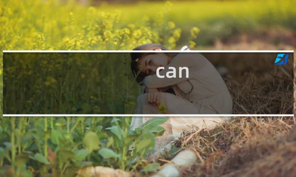 can can need是什么意思什么梗