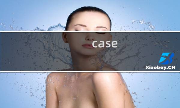 case 23攻略书