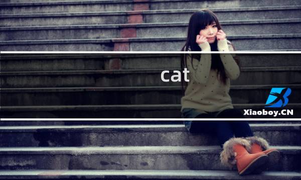cat bird攻略.