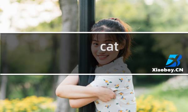 cat fishing 攻略