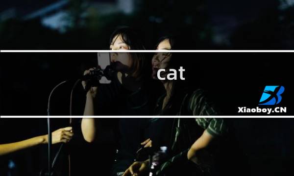 cat heroes 攻略