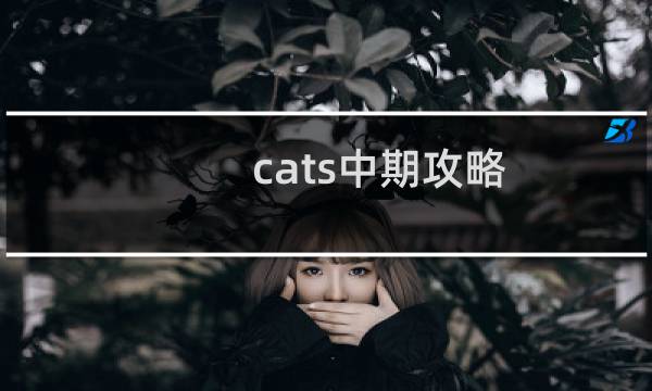 cats中期攻略