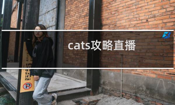cats攻略直播