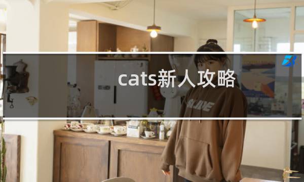 cats新人攻略