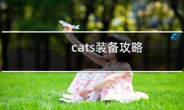 cats装备攻略