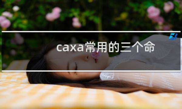 caxa常用的三个命令使用方法