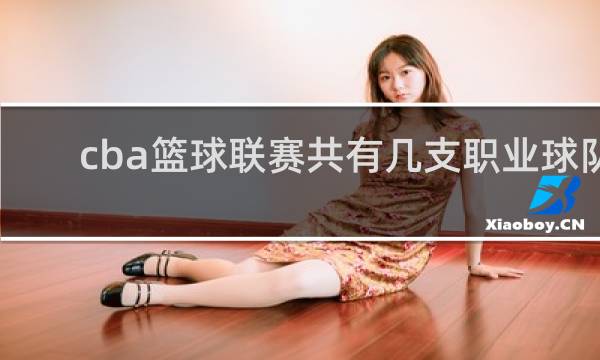 cba篮球联赛共有几支职业球队