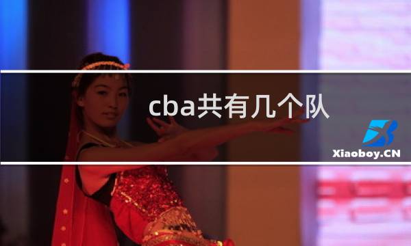 cba共有几个队