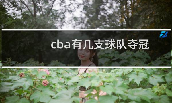 cba有几支球队夺冠