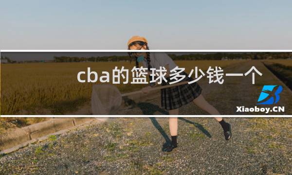 cba的篮球多少钱一个