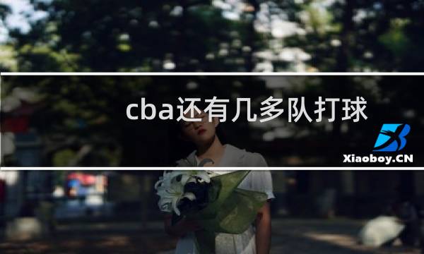 cba还有几多队打球