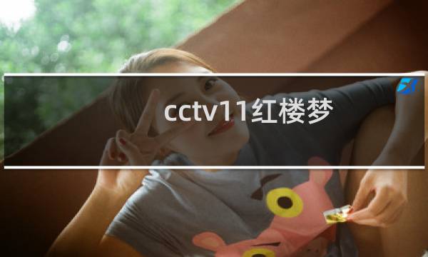 cctv11红楼梦