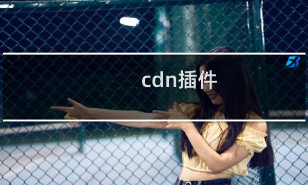 cdn插件