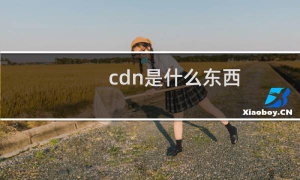 cdn是什么东西