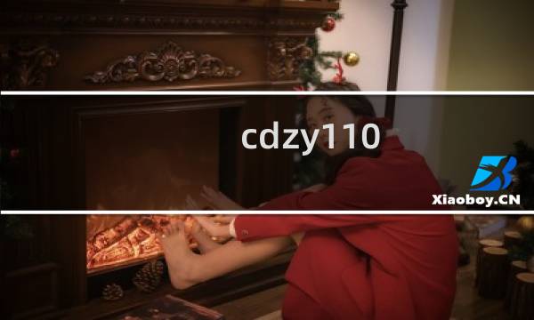 cdzy110.com转了港台主机，网站还是打不开