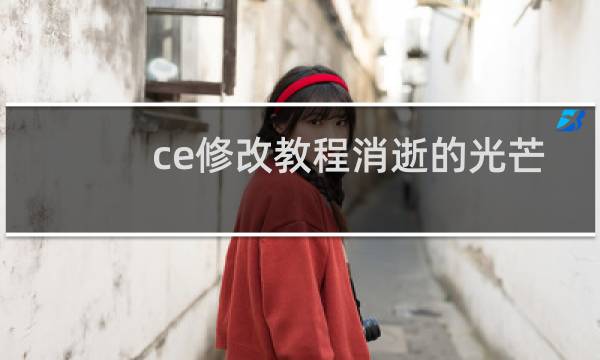 ce修改教程消逝的光芒