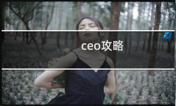 ceo攻略