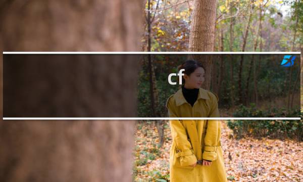cf 会计是什么意思