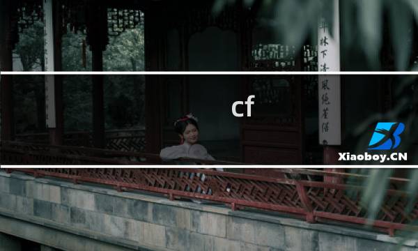 cf 包 尺寸