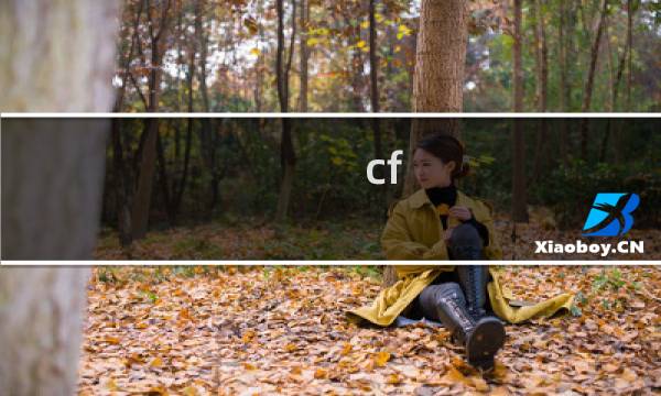 cf 8g运行内存够用吗