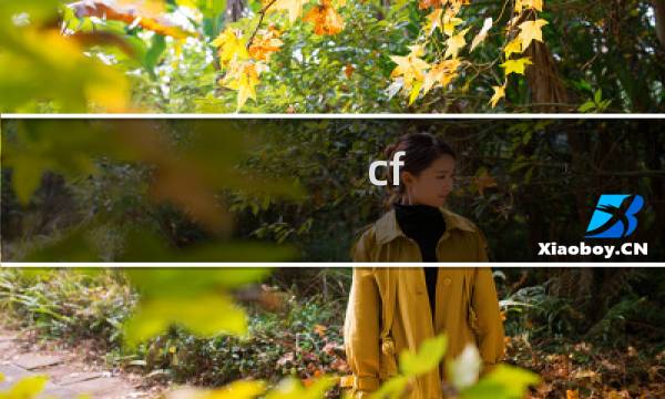 cf cf私聊什么意思