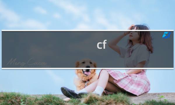 cf udma标准