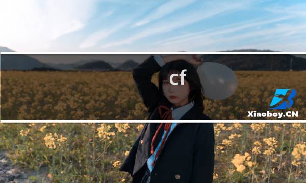 cf usp教程
