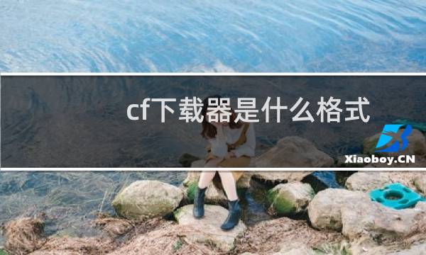 cf下载器是什么格式